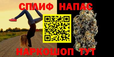 гидропоника Кимры