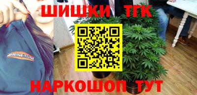 a pvp Кингисепп