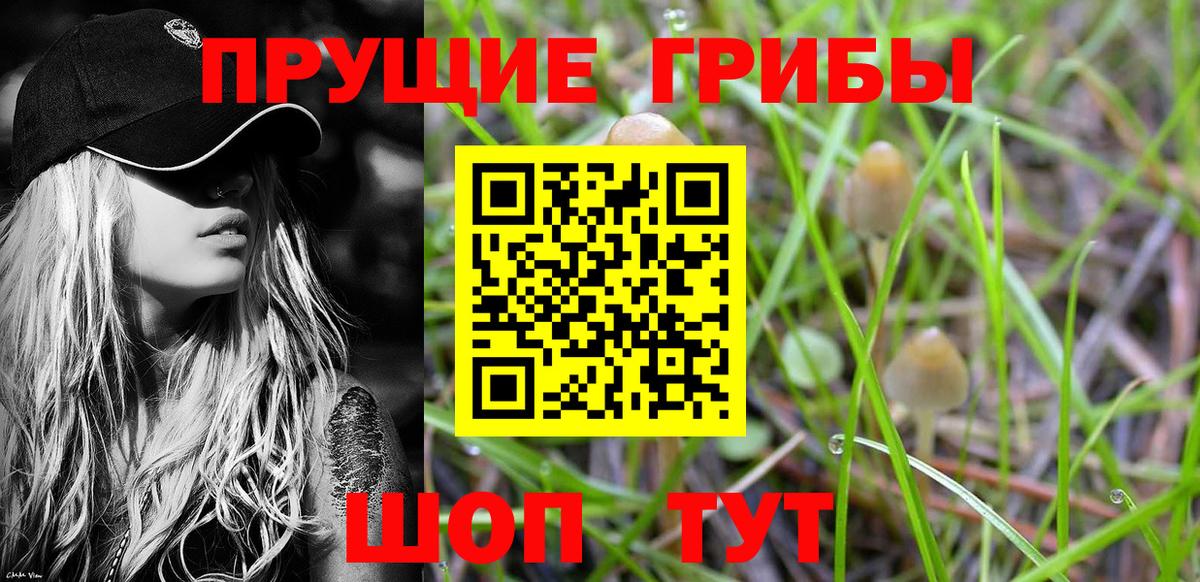 Качканар  Псилоцибиновые грибы Psilocybine cubensis  Вход с VPN  магазин    Галлюциногенные грибы Psilocybine cubensis 
