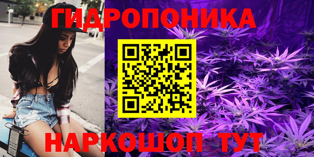 Канабис семена Качканар