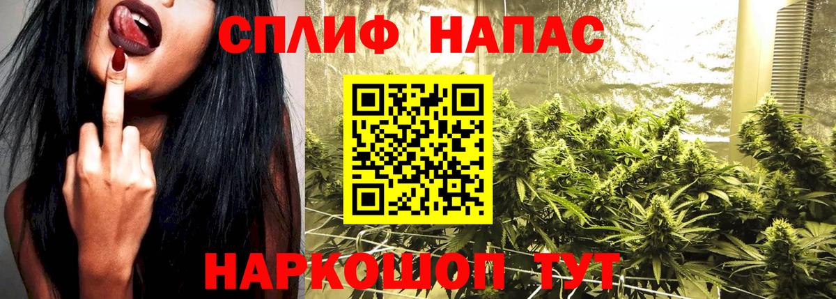 Качканар  Марихуана конопля  Конопля планчик  Вход с VPN 